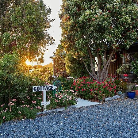 Villa Barnacle Bills Kaikoura Esterno foto