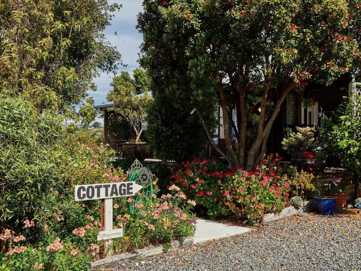 Villa Barnacle Bills Kaikoura Esterno foto